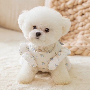 【PET】2種類展開秋冬用お嬢様風可愛い蝶結び付き柔らかいワンピースOR中綿ベスト