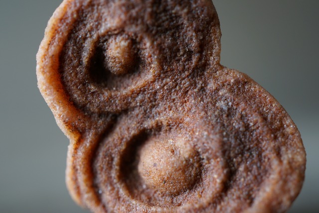 モロッコ産ストロマトライト Stromatolite 1059