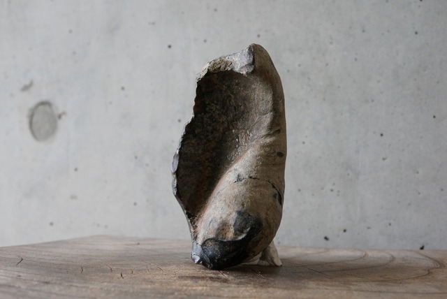 古代クジラ耳骨　Whale Otolith