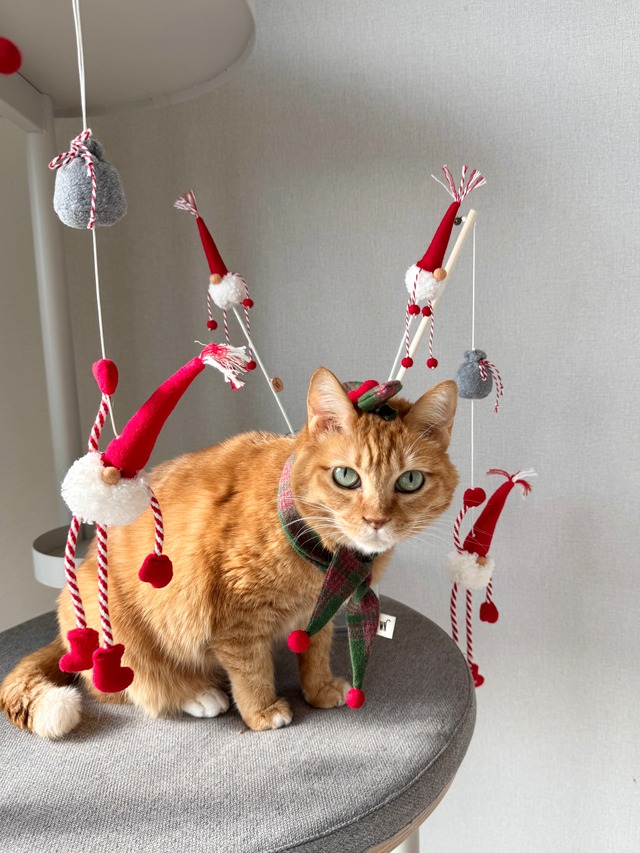 gnome rod from WETNOSE 猫じゃらし