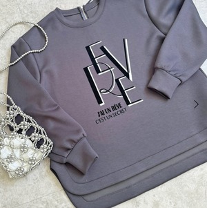 レルビエ lehlbie  ビッグロゴダンボールトップス