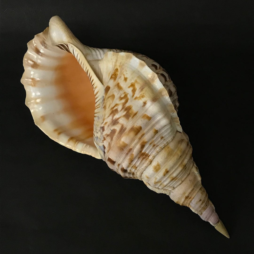 abcdb311105ce318339bd23102c928