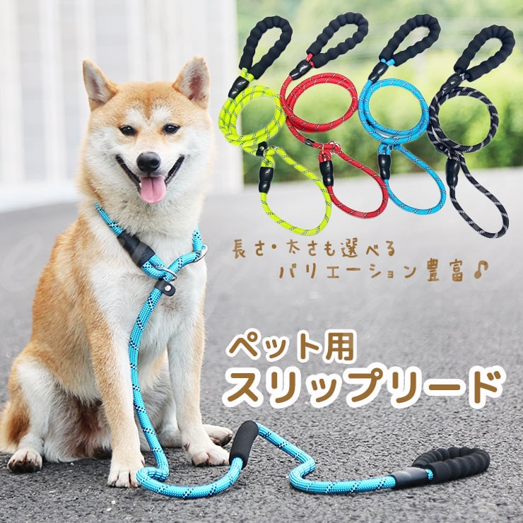 平成レトロ Ｓａｎ−ｘ スポケン 学校ジャージのアスリート犬 首下げストラップ pet用 スリップリード 首輪一体型リード しつけリード ラウンドリード