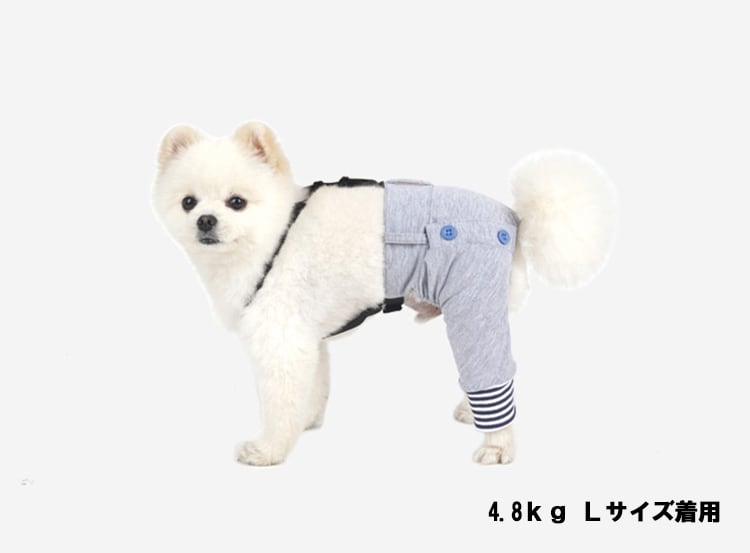 button pants  S ~ XL 2color  / 犬服 パンツ 秋冬 スポーティ ボトム オーバーオール ドッグウェア 綿  シンプル 小型犬 中型犬 犬 服 ズボン コットン ペット洋服