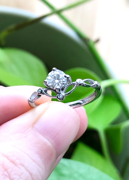 毅然としたプリンセスのためのプロテクトリング