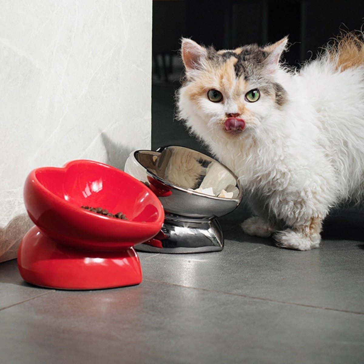 猫 食器 犬上品な ハートフードボウル ペット 陶器 餌皿 餌入れ エサ皿