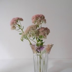 透き通ったフルーツの花瓶