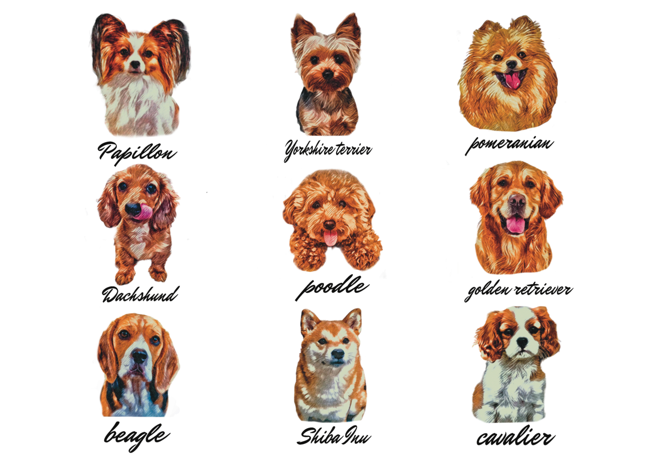 All dog brown fur Tee