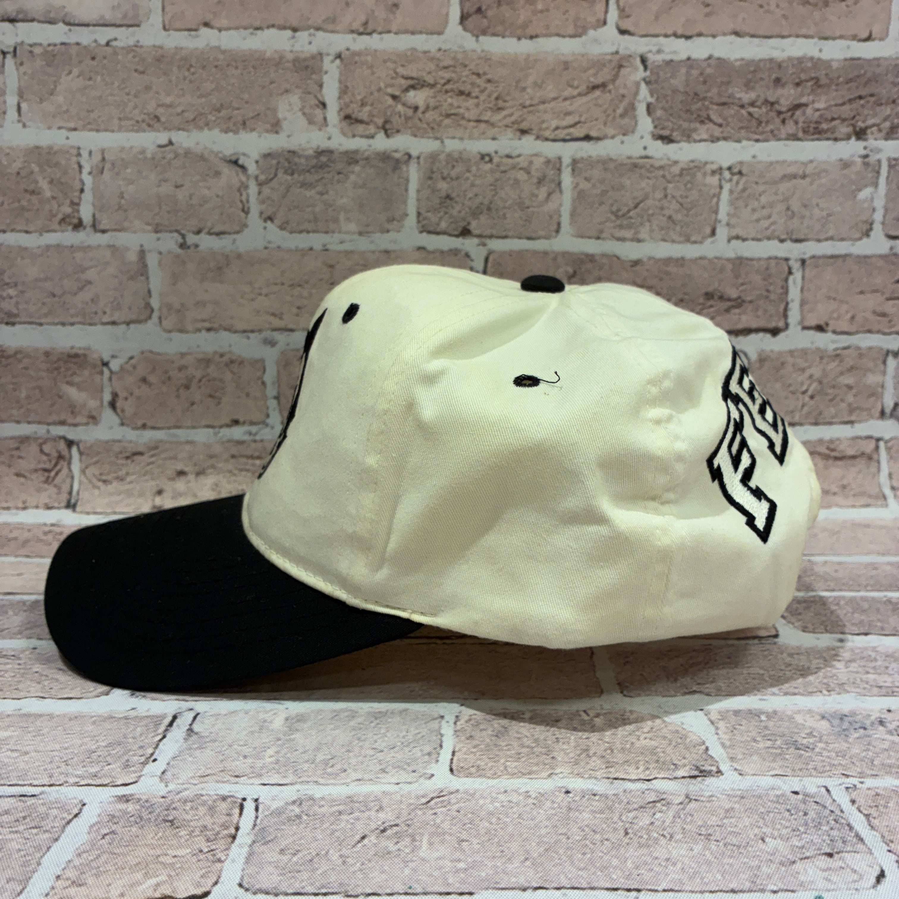 Ⓚ1990'S FELIX CAP | safarionline
