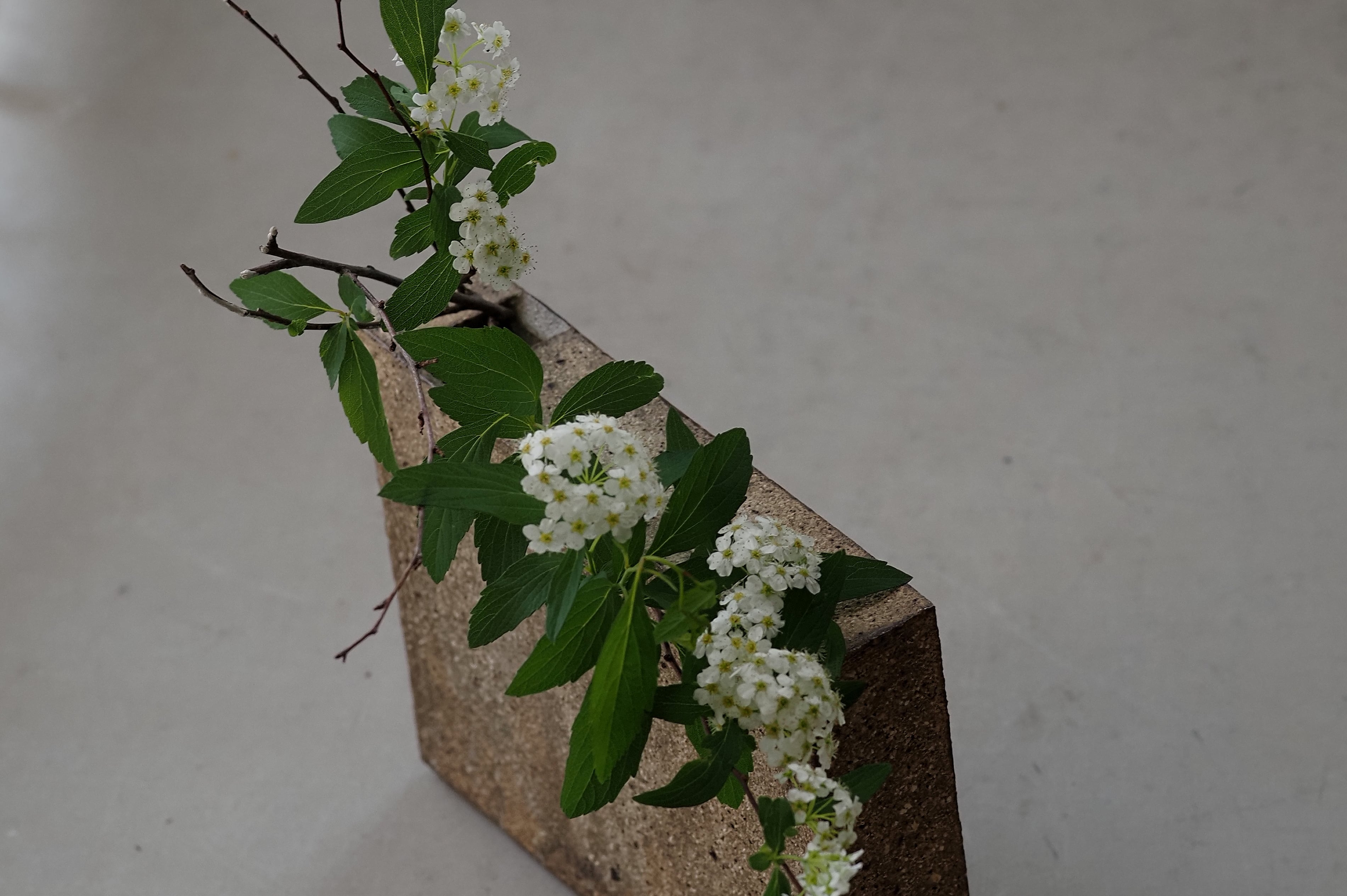 村上躍　花器　白灰化粧花器 村上 躍 77. 白灰化粧箱型花器 | 陶屋なづな