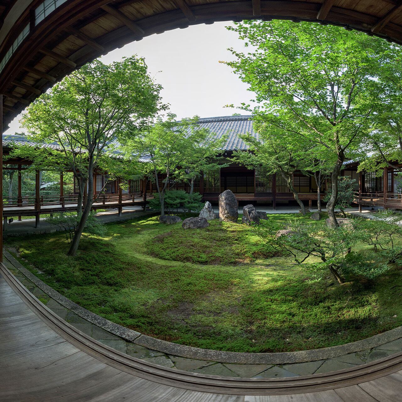 京都最古の禅寺 建仁寺の境内と双龍図