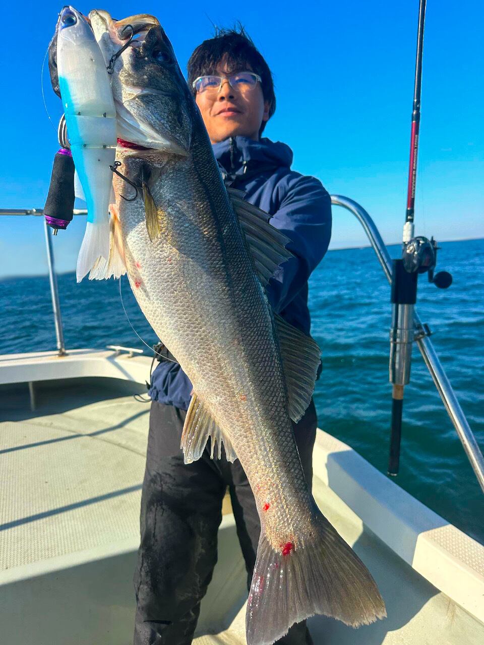 ふぃっしゅ タフタム300 フルオレンジ | Pay ID