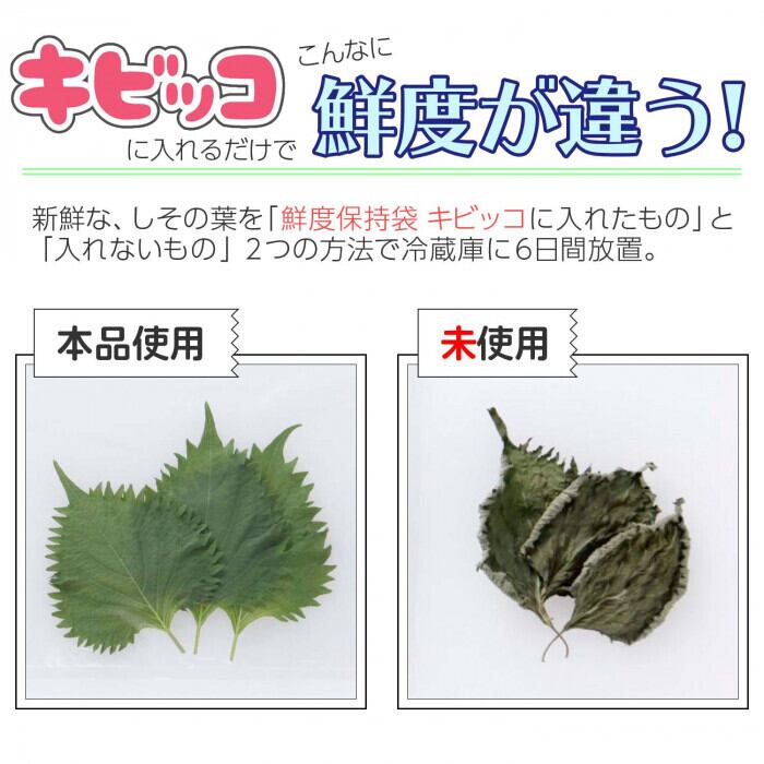 野菜保存袋 野菜 肉 魚 長持ち 袋 保存袋 鮮度保存袋 野菜 鮮度 保持