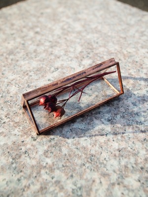 hacomidori 三角植物標本(小) ワックスフラワー(red) 【hcm-sh-wf-s-red】