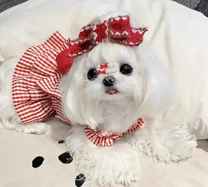 ハート❤︎チェックワンピース❤︎　2XS〜XL（送料180円）
