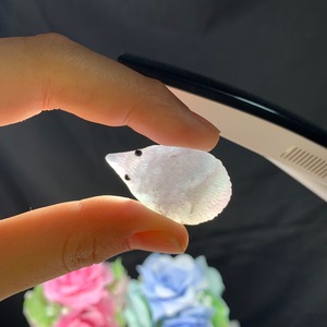 4ハリネズミフローライト