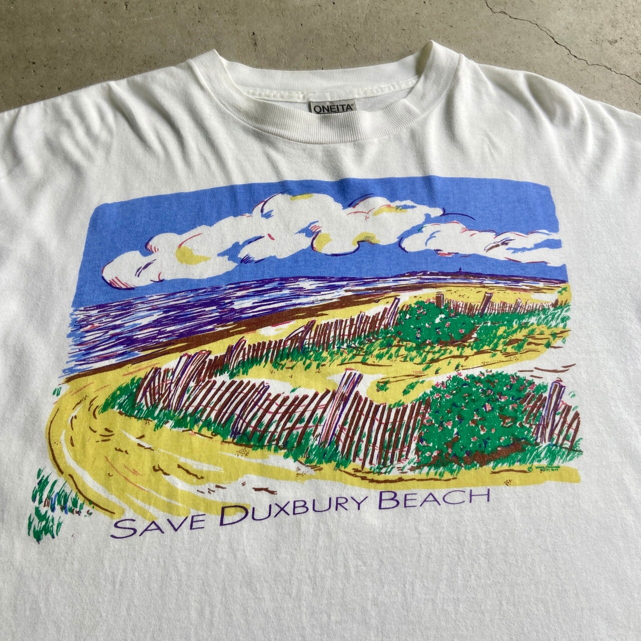 90年代 SAVE DUXBURY BEACH 風景画 アート プリントTシャツ メンズXL 