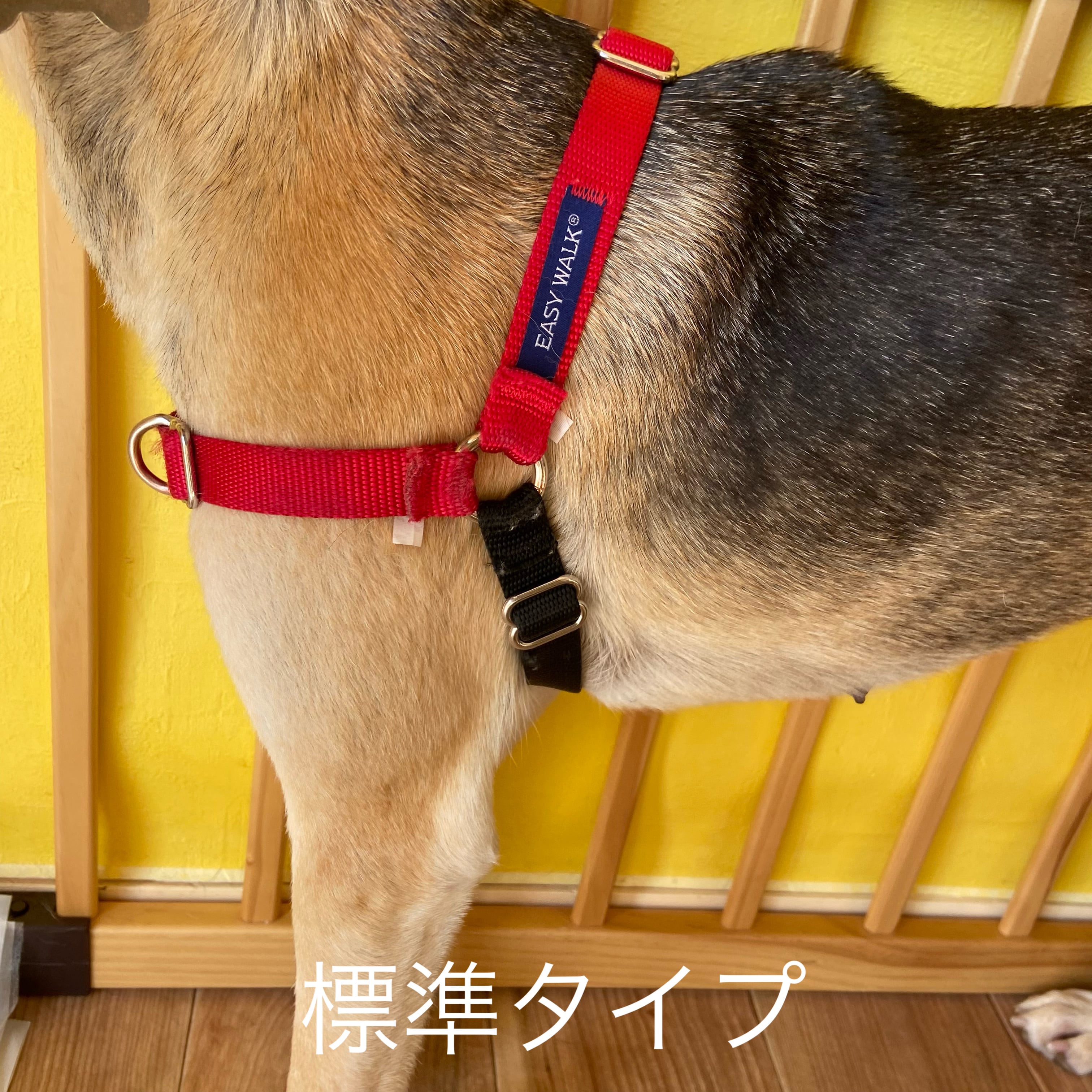 【売ります】イージ・ウォーク イージ・ウォーク MA3｜テクノ・マイス