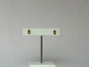 癒しのヴィーナス4