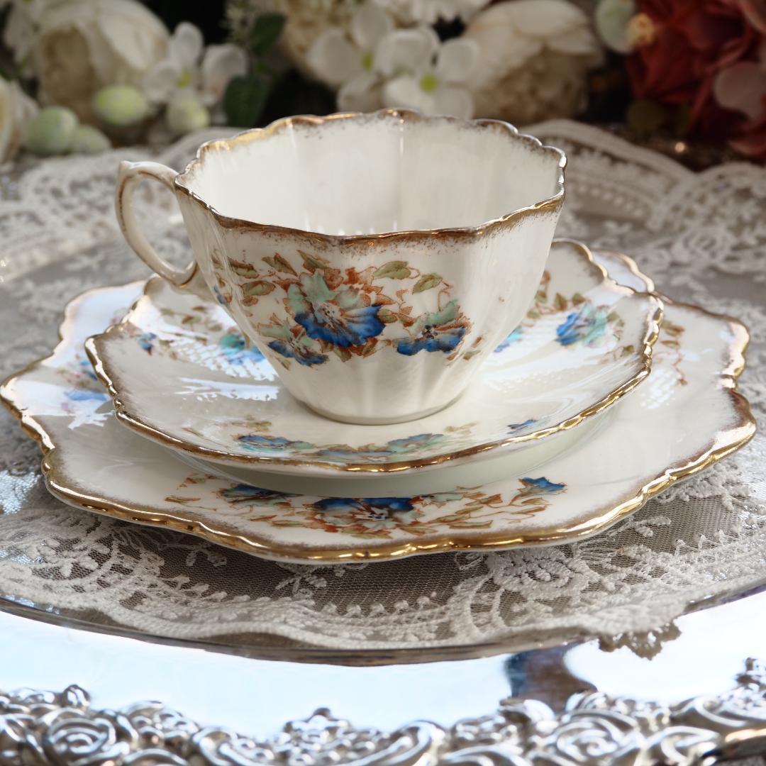 20%offです イギリス パラゴン トリオ ポンパドール 20%offです イギリス パラゴン トリオ ポンパドール