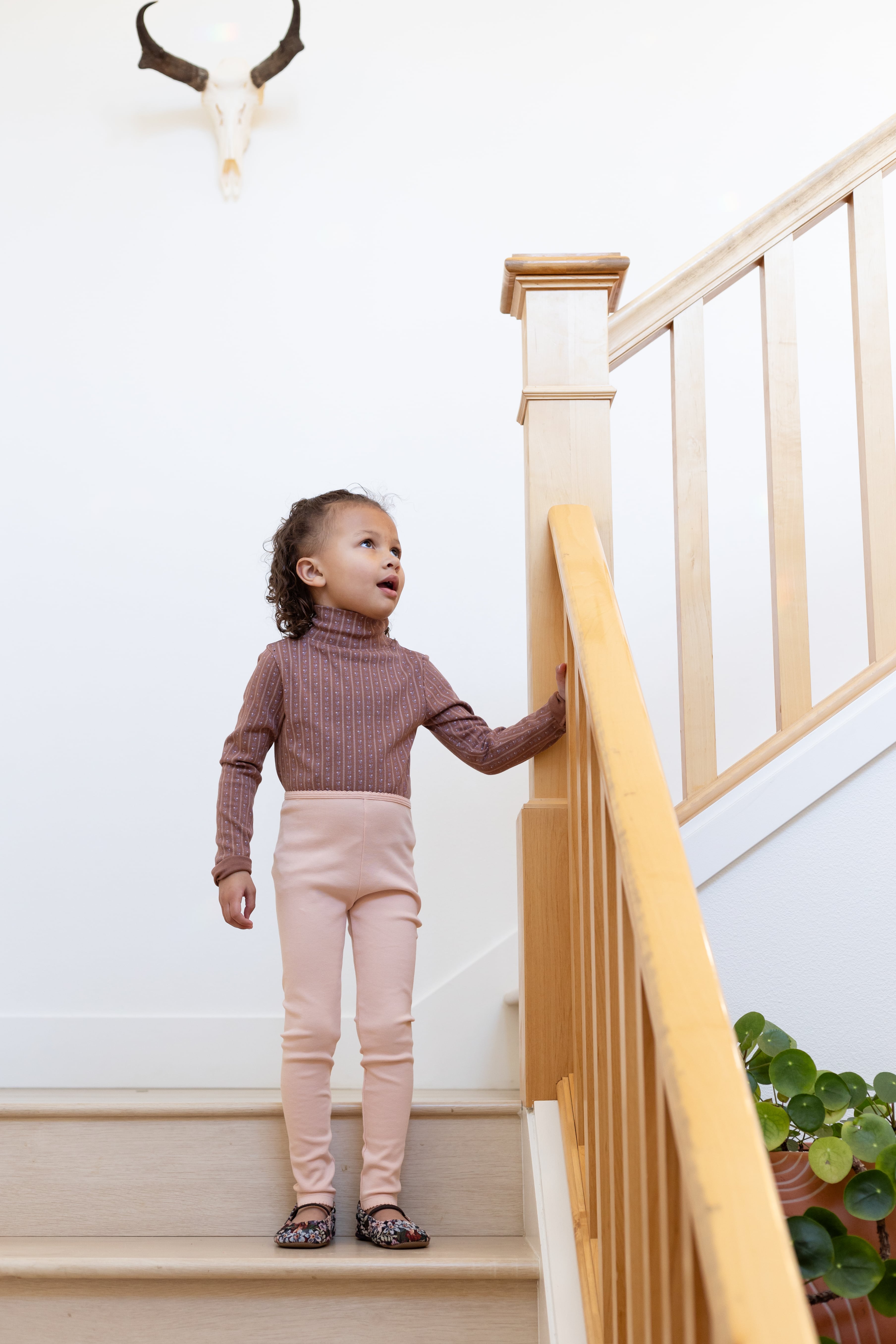 【即納】iver and isla / pima snap turtleneck / wallpaper lace floral