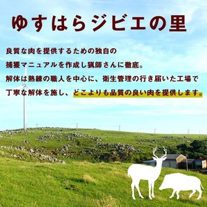 【ボリュームたっぷり】新鮮ジビエ土佐の天然鹿肉200g