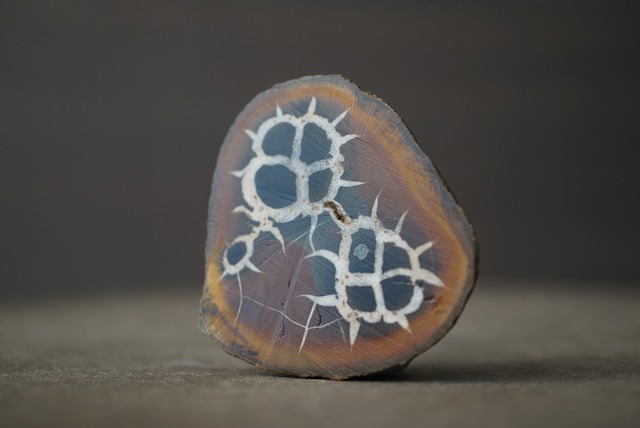 セプタリアン Septarian 1689