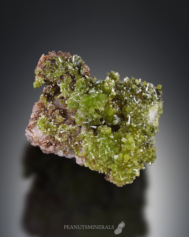 プルンボグマイト / パイロモルファイト【Plumbogummite Pseudomorphs Pyromorphite】中国産