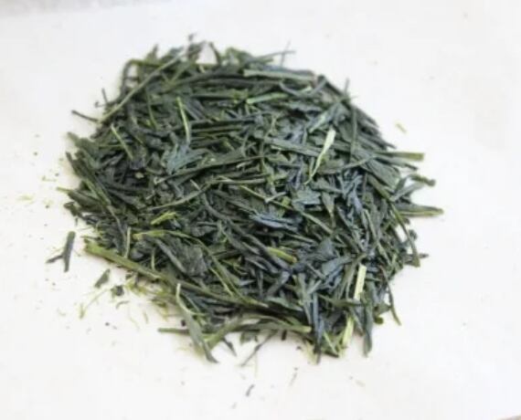 2025年新茶　萌　　桜野園