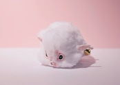 ヤギィ