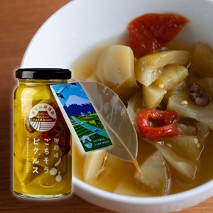 シーズコア グリーントマトとオリーブのごちそうピクルス|爽やかな酸味と旨味のマリネ