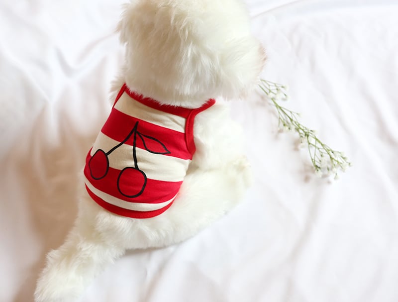 【SALE】 cherry cropped top S ~ XL 2color  /  犬の服 犬服 ペット洋服 ドッグウェア ペット用品 小型犬 中型犬