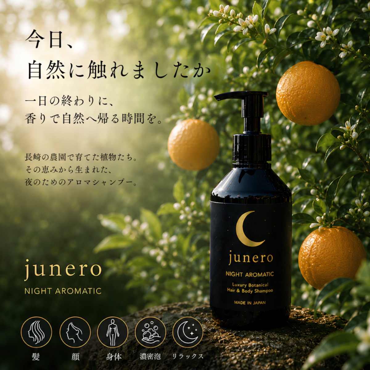 シャンプー nero 送料無料】junero Night Aroma Shampoo/ジュネロナイトアロマ