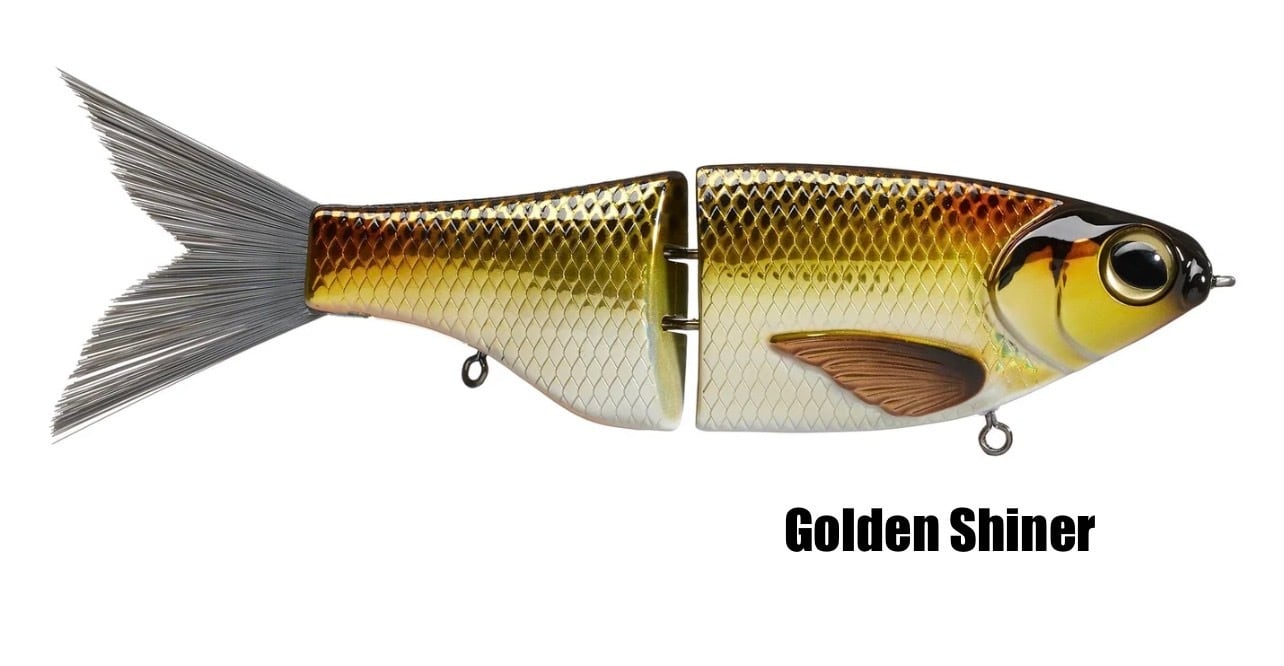 SPRO KGB Chad Shad 180 | Koy'sTackleBox