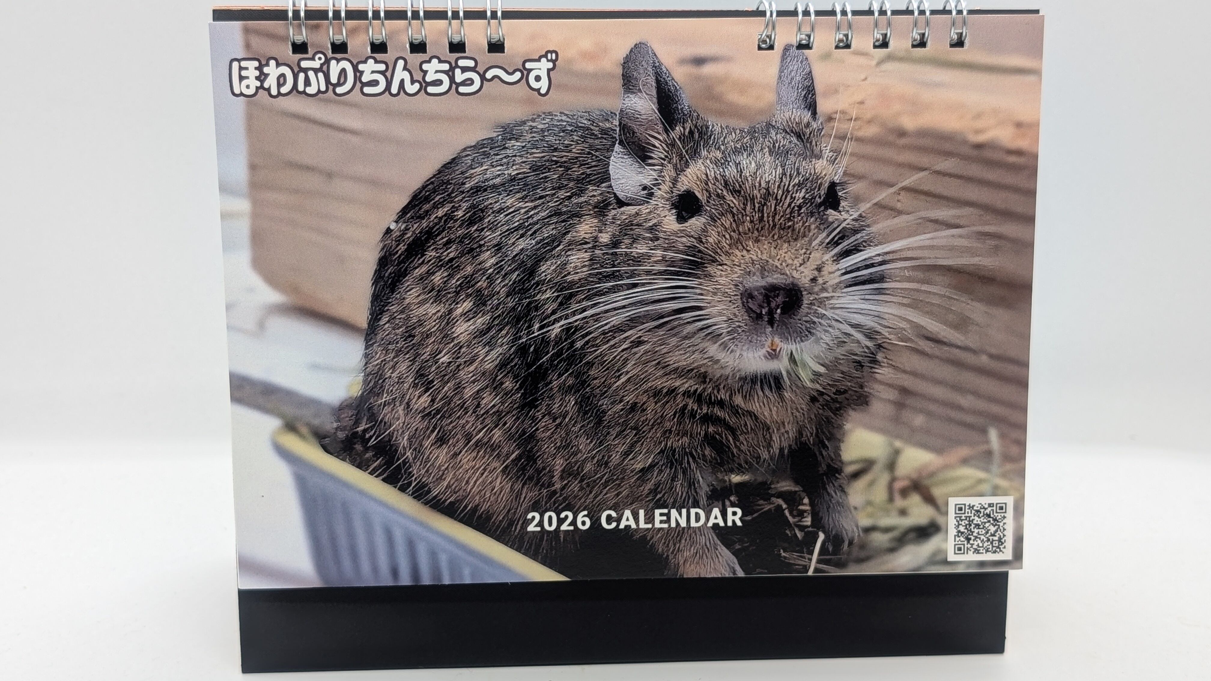 2026年デグーフォトカレンダー | ほわぷりちんちら～ず