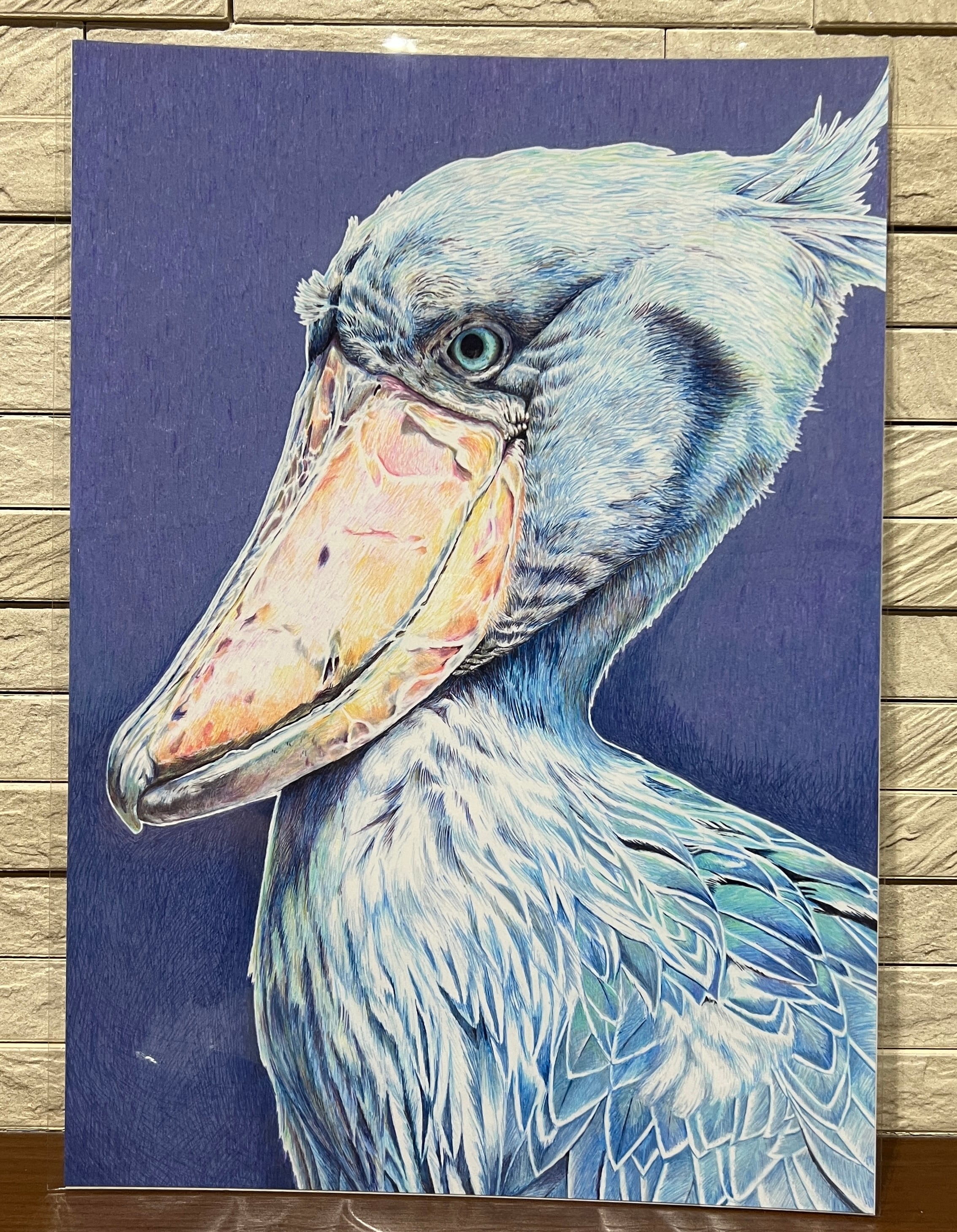 磯野キャビア ZOO