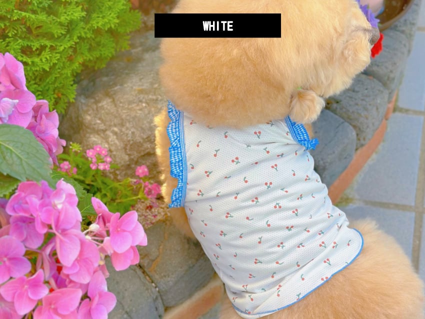cool mesh cherry tank top XS ~ XL 2color / 犬服 メッシュ素材 ショート丈 チェリー柄 犬 服 夏 キャミソール 軽量 おぱんつカット タンクトップ 涼しい crop top 薄手 ノースリーブ 可愛い 韓国 ペット服 通気性抜群 犬の服 ドッグウェア 袖なしTシャツ 猫