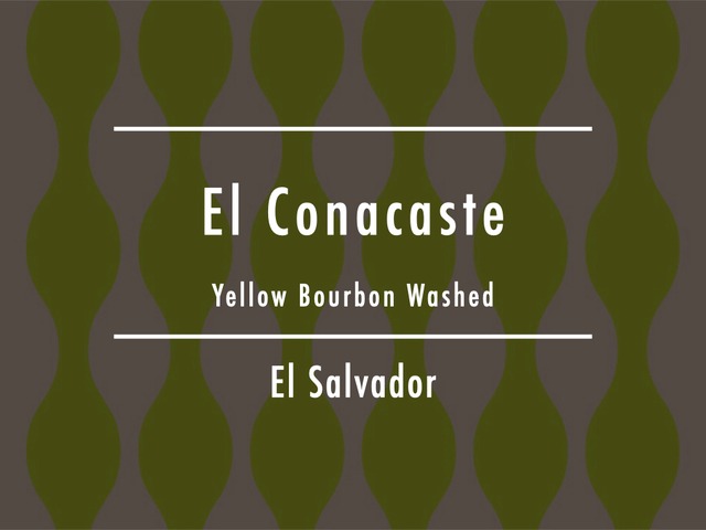 Coming Soon!!【200g】エルサルバドル / El Conacaste Yellow Bourbon Washed