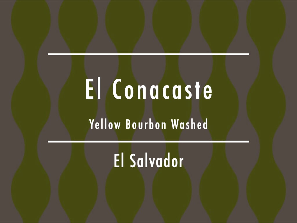 Coming Soon!!【200g】エルサルバドル / El Conacaste Yellow Bourbon Washed