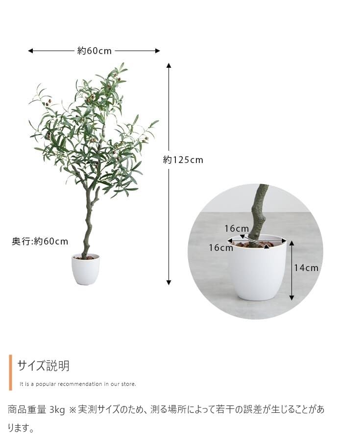 観葉植物 オリーブ フェイクグリーン 光触媒人工観葉植物 高さ125cm