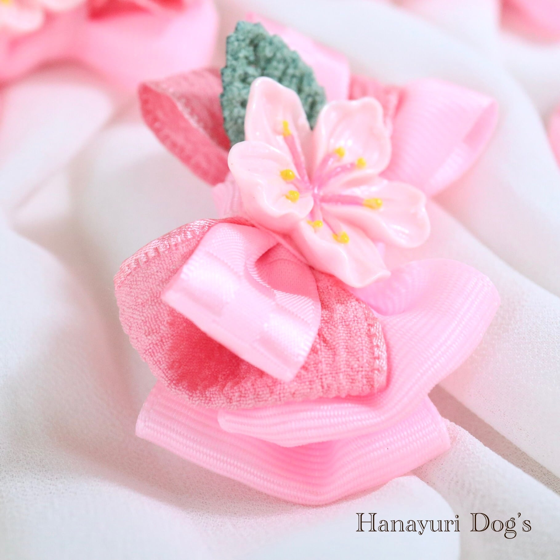 さくら 梅 桜 緑の葉っぱ ひな祭り 卒業式 入学式 お花見 犬リボン