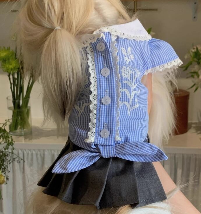 《予約》3102440 ゴージャス重ね着ワンピ(シャツ・スカート別)