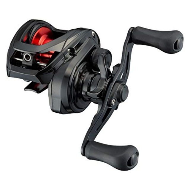 ダイワ(DAIWA) ベイトリール 21 PR100L