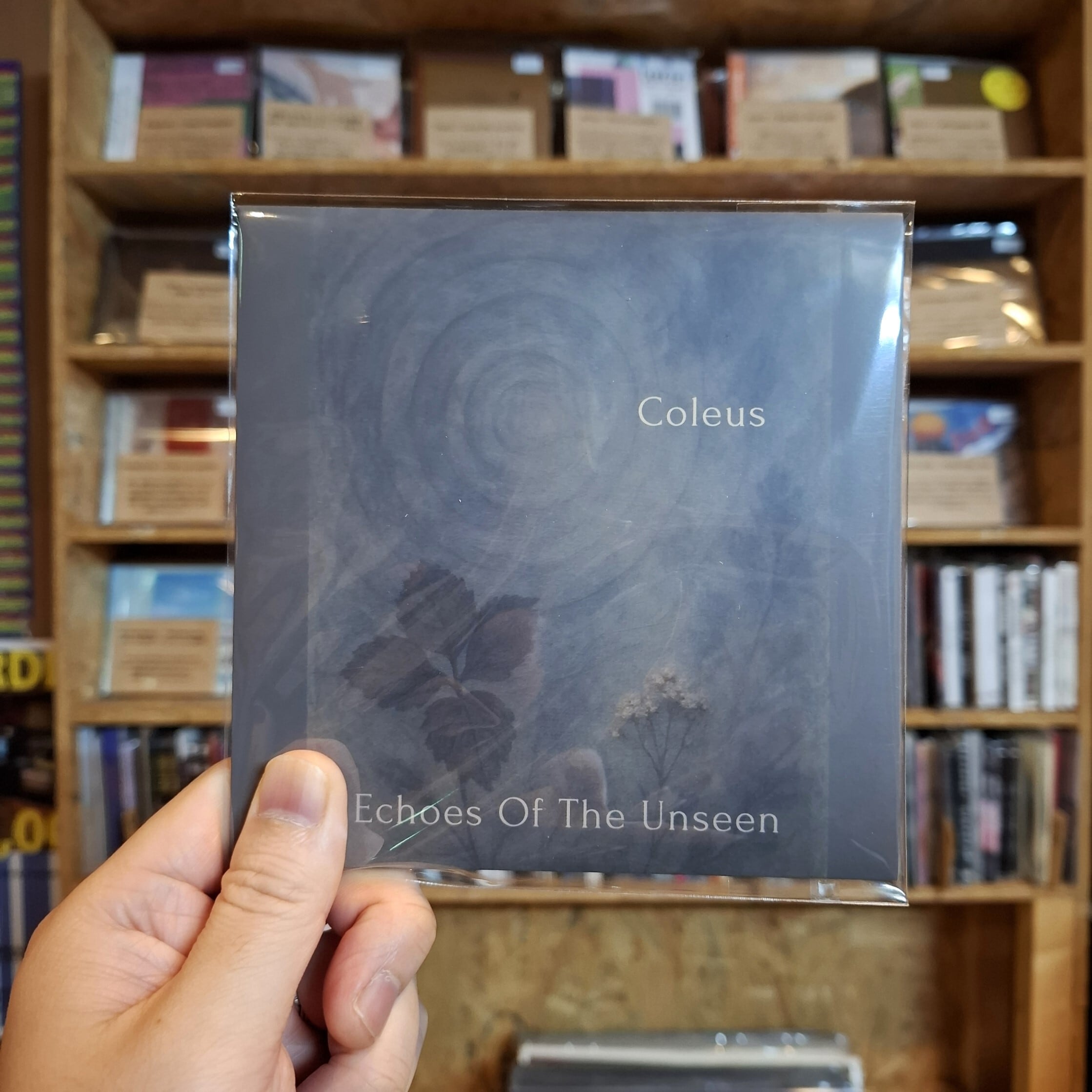 SHOEGAZE/DREAMPOP/POST ROCK | 9spices distro