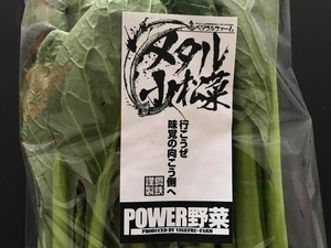 【定期便●毎月お届け3回分】メタル小松菜1キロ