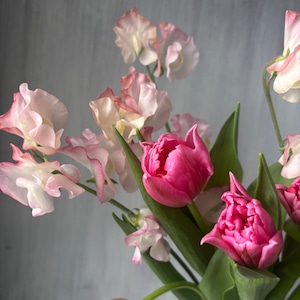 【季節のブーケ　即出荷】　チューリップ＆スイートピーのブーケ　ピンク　1束