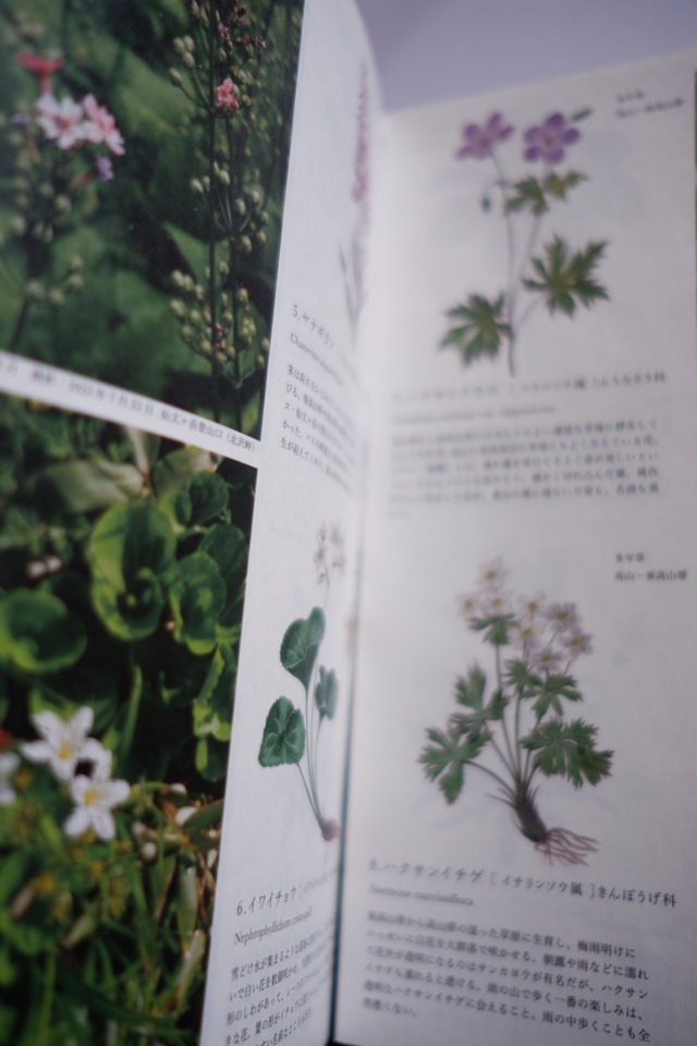 5th Anniversary book "FLOWER OF THE MOUNTAIN"