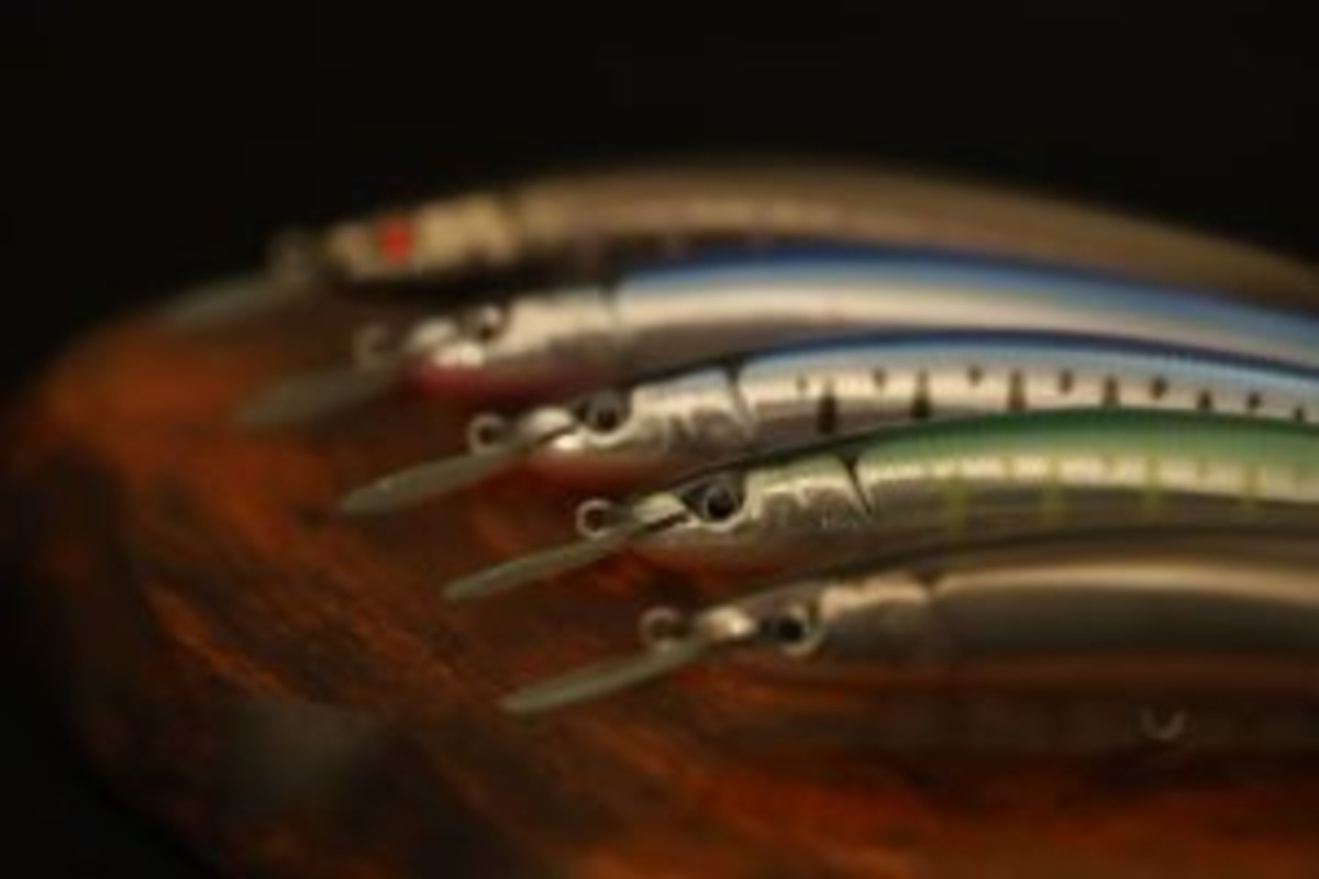 ac231fe9f10b001834d419a9c18187 