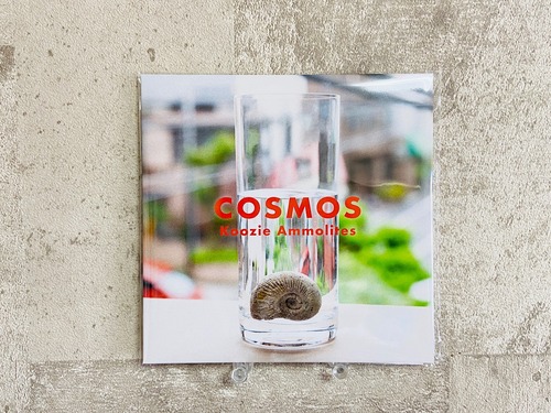 COSMOS / Koozie Ammolites