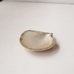 ぐるぐるシェルのトレイ